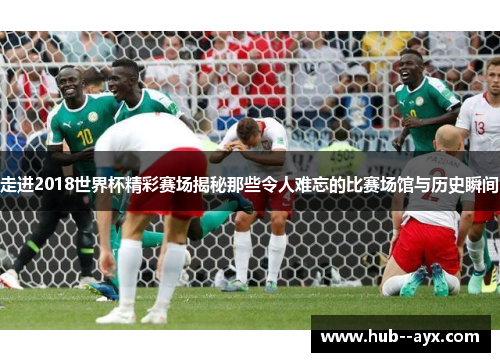 走进2018世界杯精彩赛场揭秘那些令人难忘的比赛场馆与历史瞬间 走进2018世界杯精彩赛场揭秘那些令人难忘的比赛场馆与历史瞬间