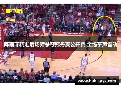 陈雨菲精准后场劈杀夺冠丹麦公开赛 全场掌声雷动