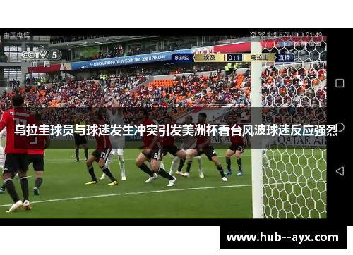 乌拉圭球员与球迷发生冲突引发美洲杯看台风波球迷反应强烈