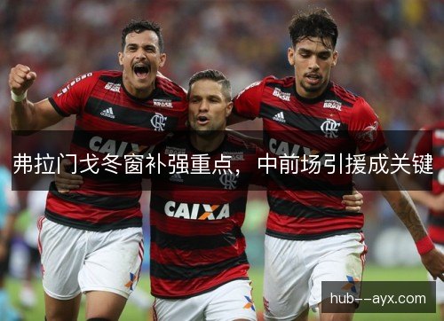弗拉门戈冬窗补强重点,中前场引援成关键 弗拉门戈冬窗补强重点,中前场引援成关键