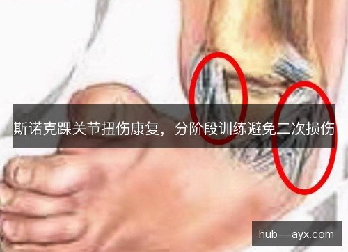 斯诺克踝关节扭伤康复，分阶段训练避免二次损伤
